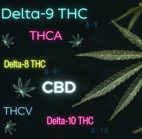 Kaksi liittovaltion kannabiksen uudistuslaskua on matkalla, joka voisi muuttaa Yhdysvaltain kannabiksen asetuksen maisemaa